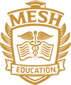 MESH logo small gold